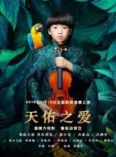 郭少芸演過的電影電視劇線上看_影視作品大全_好看的明星