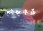 響如非菲專輯_韓金寶響如非菲最新專輯