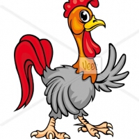 Rooster圖片照片_Rooster