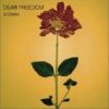 DEAR FREEDOM (Single