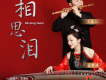王春江歌曲歌詞大全_王春江最新歌曲歌詞