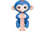 Sprung Monkey