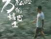 許鈞歌曲歌詞大全_許鈞最新歌曲歌詞