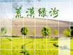 荒漠綠洲