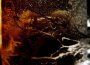 Strange Rumors Distant Tremors專輯_KromlekStrange Rumors Distant Tremors最新專輯