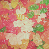 Bears圖片照片_Bears