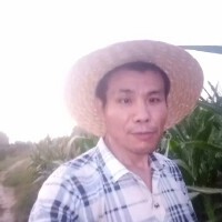 周東風最新歌曲_最熱專輯MV_圖片照片