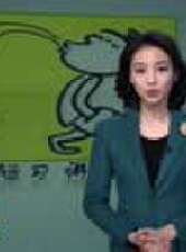 遼寧新聞最新一期線上看_全集完整版高清線上看 - 蟲蟲綜藝