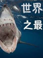 最新2015電視劇_好看的2015電視劇大全/排行榜 - 蟲蟲電視劇