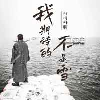 我期待的不是雪 (彈唱版)