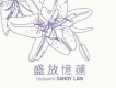 林憶蓮歌曲歌詞大全_林憶蓮最新歌曲歌詞