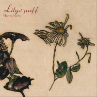 Lily s Puff圖片照片_Lily s Puff