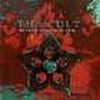 Cult歌曲歌詞大全_Cult最新歌曲歌詞