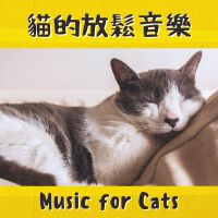 貓搖籃曲歌曲歌詞大全_貓搖籃曲最新歌曲歌詞