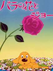 玫瑰花和小狗動漫全集線上看_卡通片全集高清線上看 - 蟲蟲動漫