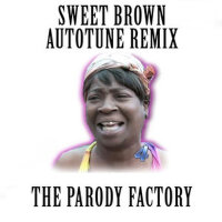 Ain't Nobody Got Time for That (feat. The Paro