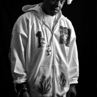 Spice 1圖片照片_Spice 1