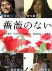 香取慎吾演過的電影電視劇線上看_影視作品大全_好看的明星