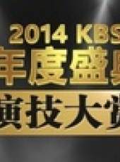 2014KBS演技大賞最新一期線上看_全集完整版高清線上看_好看的綜藝