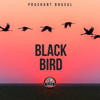 Prashant Bhusal個人資料介紹_個人檔案(生日/星座/歌曲/專輯/MV作品)