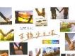 不該少了你