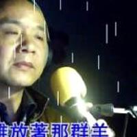 水鳥渡邊圖片照片_水鳥渡邊