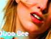 Disco Bee歌曲歌詞大全_Disco Bee最新歌曲歌詞