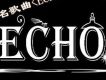 Echo