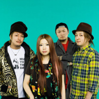 SHAKA LABBITS圖片照片_SHAKA LABBITS