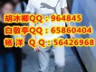 白敬亭圖片照片