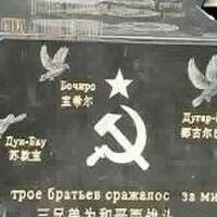 額爾敦畢力格圖片照片_額爾敦畢力格