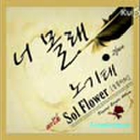 Sol,Flower圖片照片_Sol,Flower