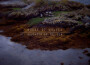 House of Wolves最新歌曲_最熱專輯MV_圖片照片