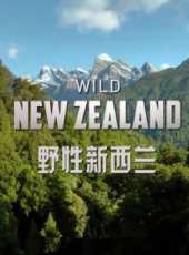BBC：野性紐西蘭線上看_全集高清完整版線上看_分集劇情介紹_好看的電視劇