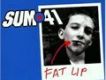 Fat Lip