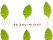 葉樹茵歌曲歌詞大全_葉樹茵最新歌曲歌詞