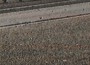 nadiak最新歌曲_最熱專輯MV_圖片照片