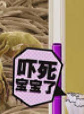 小兒大醫生最新一期線上看_全集完整版高清線上看_好看的綜藝