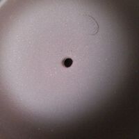 朱笑一圖片照片_朱笑一