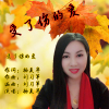 楊美華歌曲歌詞大全_楊美華最新歌曲歌詞