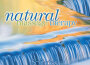 Solitudes Natural Massage Therapy專輯_Dan Gibson's SolSolitudes Natural Massage Therapy最新專輯