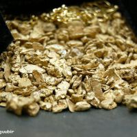 金子ノブアキ圖片照片_金子ノブアキ