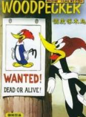 調皮啄木鳥動漫全集線上看_卡通片全集高清線上看_好看的動漫
