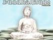 Buddhattitude Freedo專輯_Various ArtistsBuddhattitude Freedo最新專輯