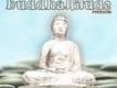 Buddhattitude Freedo