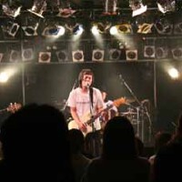 tacica圖片照片_tacica