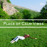 Calm Vibes圖片照片_照片寫真
