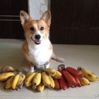 陳小糖圖片照片_陳小糖