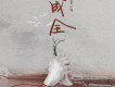 藍心羽歌曲歌詞大全_藍心羽最新歌曲歌詞