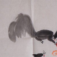 李自強圖片照片_李自強